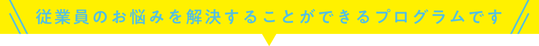 従業員のお悩みを解決することができるプログラムです